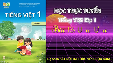 Bài 13:  u ư -  Tiếng Việt 1 - Bộ sách Kết nối tri thức với cuộc sống