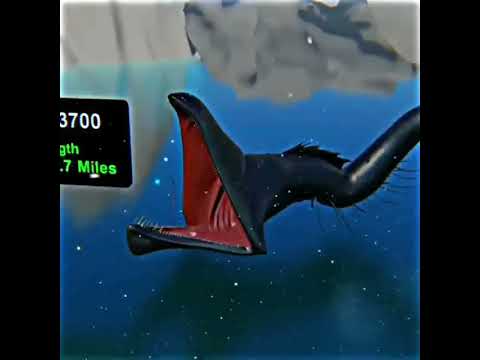 Mythical creatures #sea #creatures #troll face #phonk