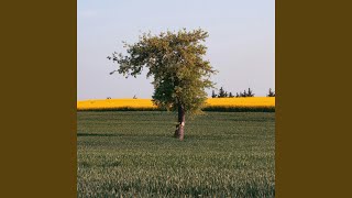 Ramrahi Echoes of a Broken Spirit