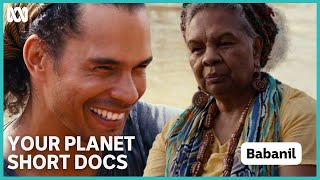 Babanil | Your Planet Short Docs | ABC iview Babanil | Your Planet Short Docs | ABC iview