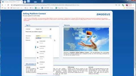 beginners on Amadeus