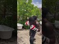 BOXING PAD WORK