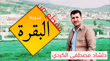 مقطع من سورة البقرة بصوت (القارئ دلشاد الكردي)...