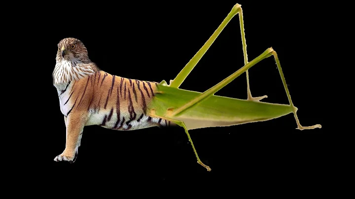 OOO combo are real animal be like: - DayDayNews
