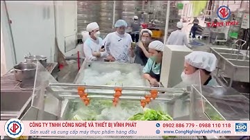 MÁY RỬA RAU CÔNG NGHIỆP, CÁC LOẠI RAU LÁ NHƯ: CẢI XANH, CẢI BÓ XÔI, CẢI MUỐI CHUA, RAU MUỐNG...