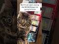 You got this little buddy! #mtg