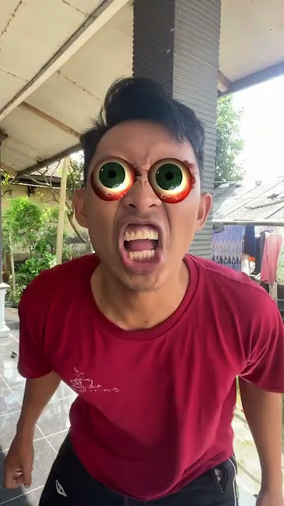 Suara tokek lucu 😂