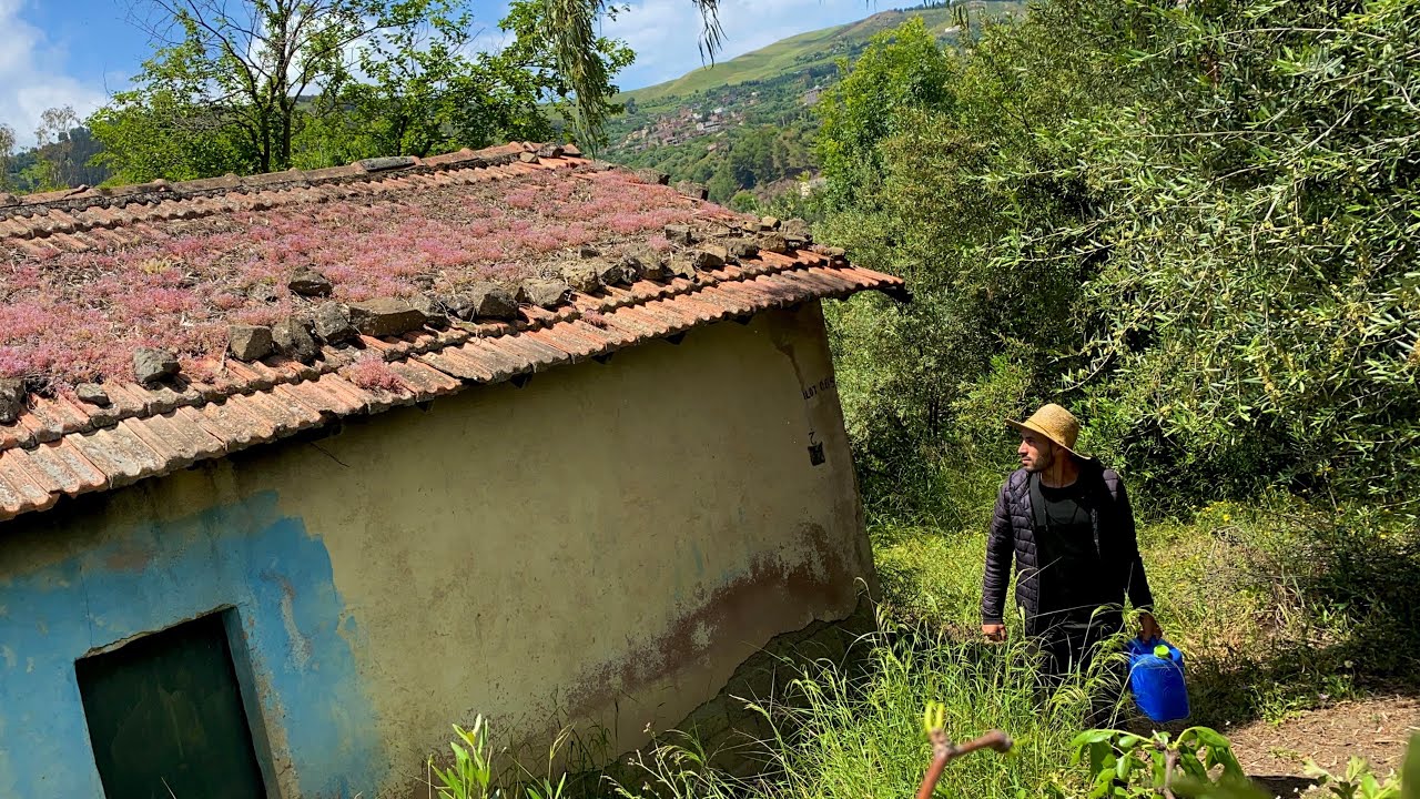 امطار غزيرة وتقلبات جوية تجعل من العيش في الريف اكثر متعة