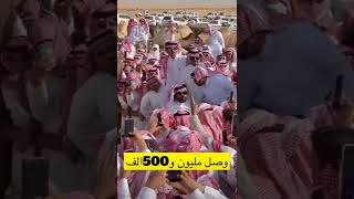 من مزاد منقيه قعيد الشلاحي