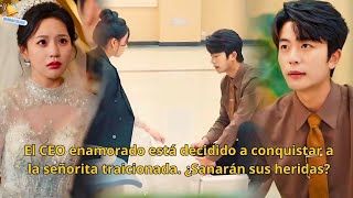 El CEO enamorado está decidido a conquistar a la señorita traicionada. ¿Sanarán sus heridas?