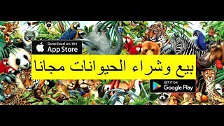 Want to Buy and Sell Animals and Pets. This is the right place for you Download our app screenshot 2