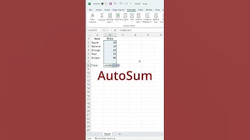 Quick Excel SUM Function Explained in 60 Seconds!