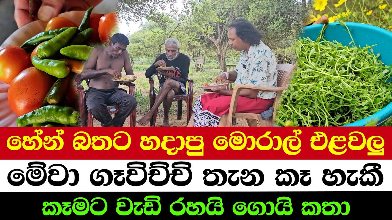 Morale fish, cooked for humble rice | Eaten where the firewood stove once burned