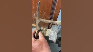 Missing fern fossils? Let’s open one!