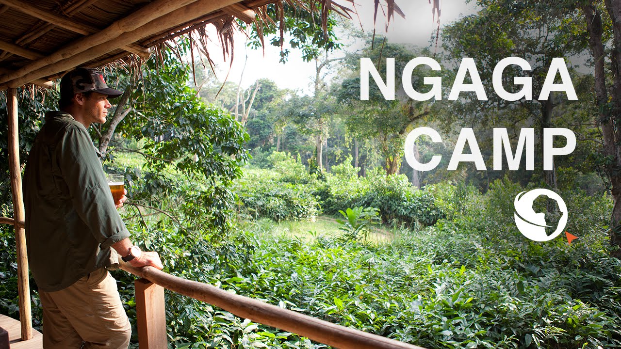 Ngaga Camp, Odzala National Park, Congo YouTube