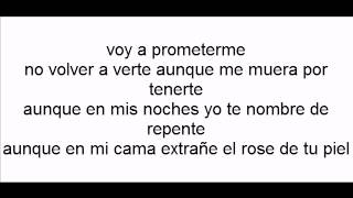 Video thumbnail of "Voy a prometerme victor manuelle con letra"