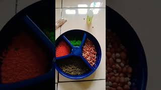 Macam Macam Biji-Bijian