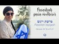 Parashah para Mulheres - 18/12/2023 - (Vayigash)  Hashgachah Pratit e a Esperança