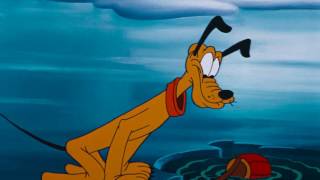 Dave Collins - Rescue Dog