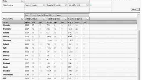 Exontrol ExPivot Show View Compact