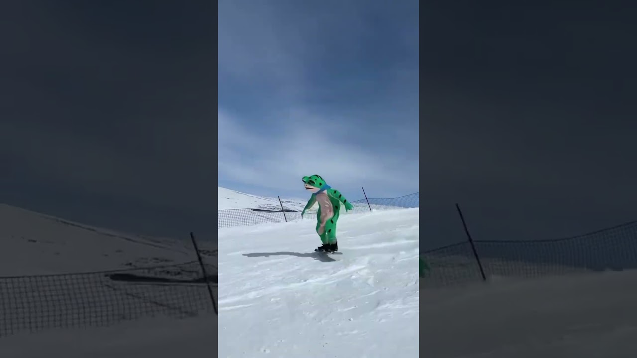 Best Snowboard Frog🐸❄️