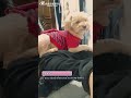 등짝에 올라가서 내려올생각없는 균형감좀 있는 강아지 ㅋㅋㅋA poodle that won&#39;t come down on my back