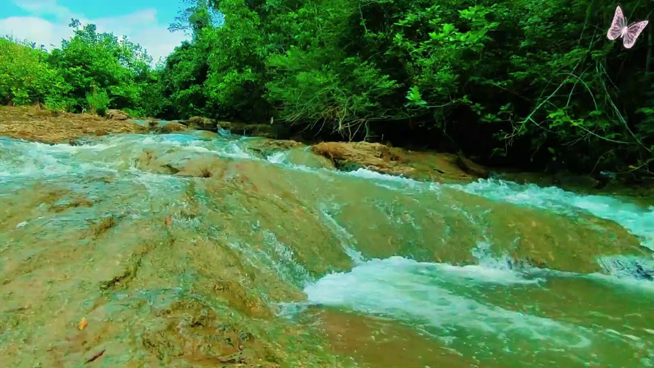 Relaxing Music For Stress Relief, Anxiety and Depressive States🌿 Heal Mind, Sleep Meditation Calm 13