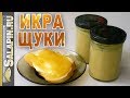 Как засолить икру щуки в домашних условиях [salapinru]