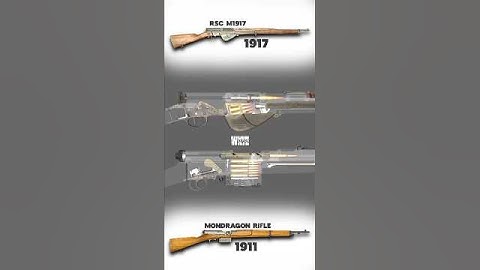 Semi-automatic rifle : RSC M1917 x Mondragon rifle