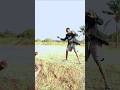 Campaigns Zimevamiwa Vichekesho Vitukocomedy Mishangazi Swahilicomedy 