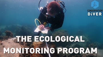 The Ecological Monitoring Program by Conservation Diver