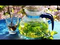 Травы для чая. Заготовка растений, рецепты приготовления чая на основе трав