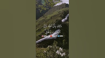 ماهر المعيقلي - سورة البقرة ( برواية حفص عن عاصم ) الأية 175 - 176