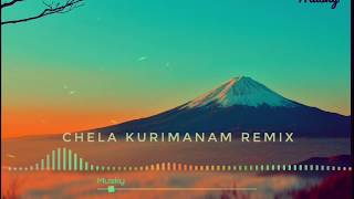 Chela Kurimanam Mappila Song Remix | Musky |