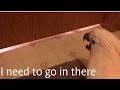 Cockatoo finding out he is going to the vet - YouTube