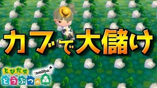 カブで大儲けして億万長者になりました【とびだせどうぶつの森