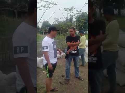 Anda Mau Tahu Harga Gabah di Karawang ,Ini Hasil Sidak Wakil Bupati (Video) Anda Mau Tahu Harga Gabah di Karawang ,Ini Hasil Sidak Wakil Bupati (Video)