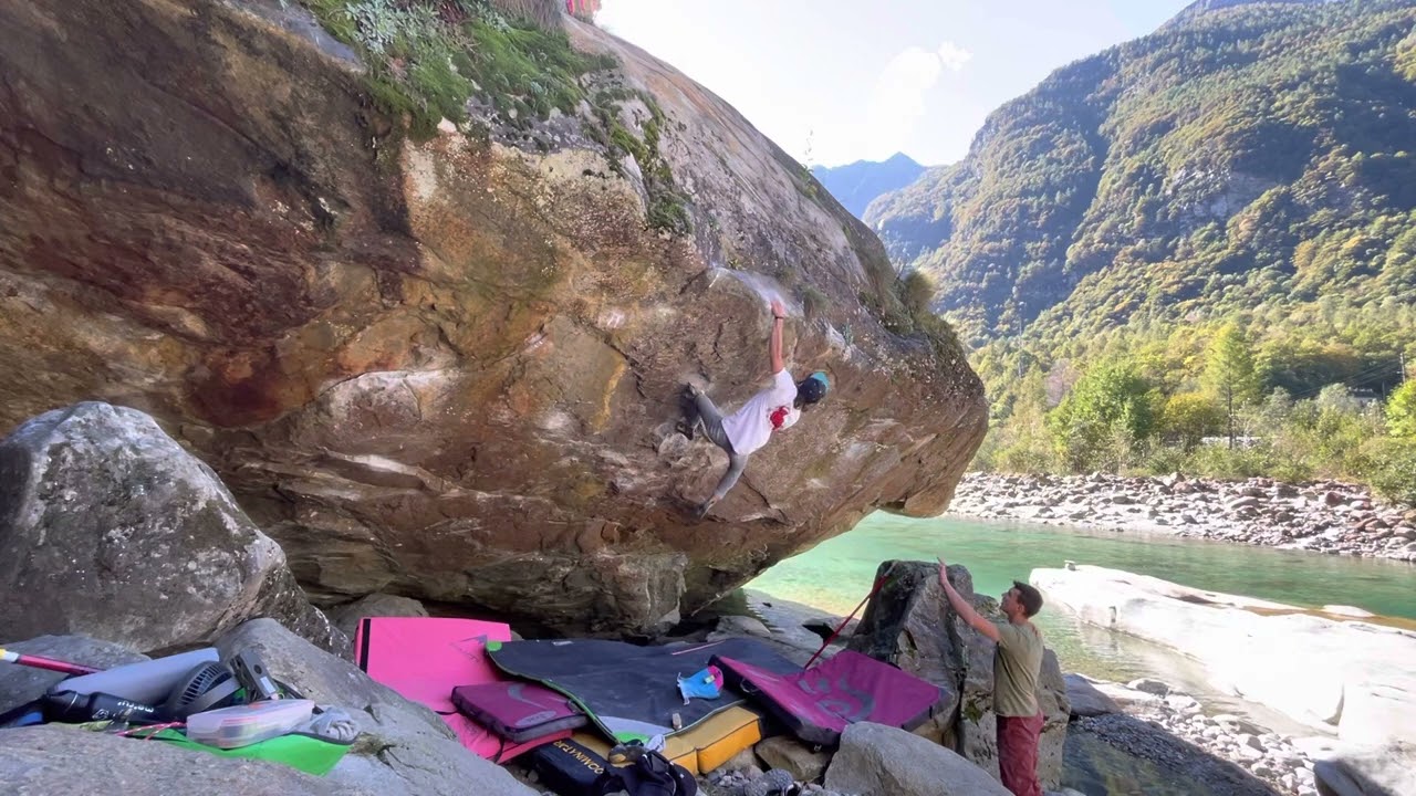 Fake Pamplemousse 8A (Brione)