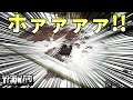 【タルコフ】低レベル貧乏人がWoodsで高額アイテムを何個も拾ってしまう!!【Escape from Tarkov】