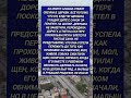 #история #историиизжизни #алабай #спасение #щенок #чудо #история