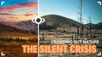 How Human Population Growth Is Devastating Wildlife Habitats – The Silent Crisis #populationgrowth