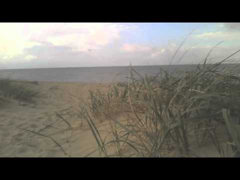 Bob Dylan - All The Tired Horses (Remix 2012)
