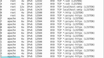 LPIC 2 Netstat, lsof and iptables