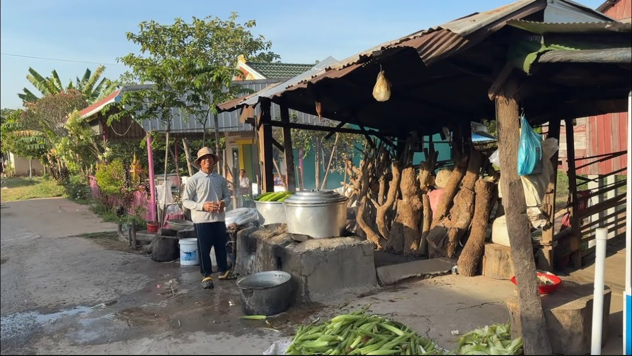 ស្រុកចំការដំណាំល្អៗ / Fresh Vegetables Farm in Countryside, Cambodia 