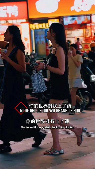 你的世界對我上了鎖 Ni de shi jie dui wo shang le suo #你的世界對我上了鎖 #music #song #lyric #mandarinsong