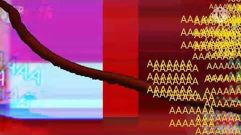 Run Away from Jimmy Chiu Add Round 74