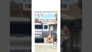 Imagine the drive through Starbucks " can I get 42 pup cups, please?"