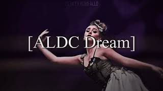 new intro!! || made by the amazing lauren