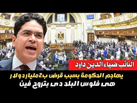 النائب ضياء الدين داود يهاجم الحكومة بسبب قرض ب٢ مليار دولار