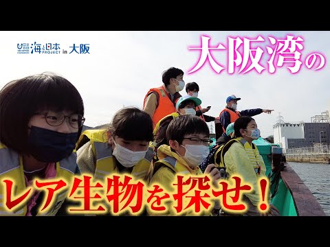 大阪湾の生物の多様性や海洋問題などを学ぶイベント 日本財団 海と日本PROJECT in 大阪府 2021 #13